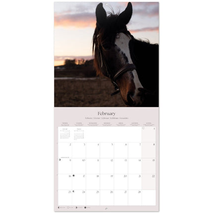 Grupo Paarden Kalender 2026