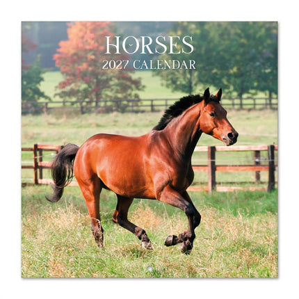 Grupo Paarden Kalender 2027