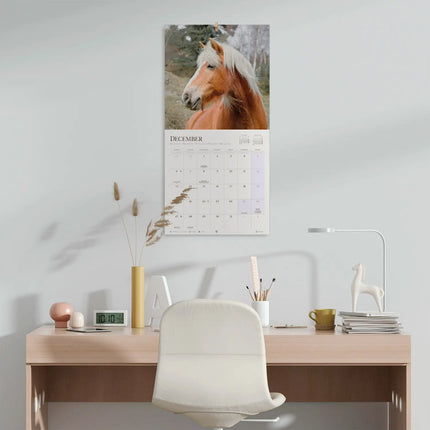 Grupo Paarden Kalender 2027