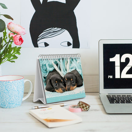 Grupo Puppies Desk Kalender 2026