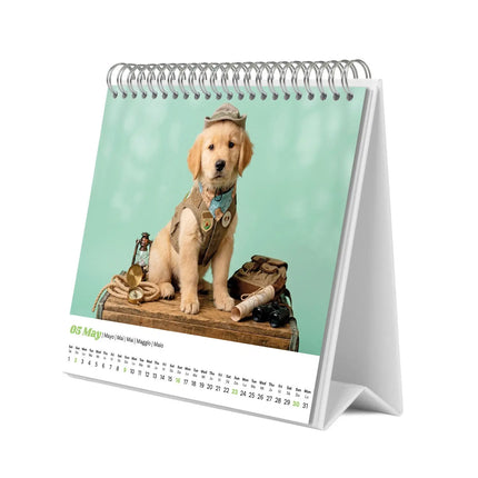 Grupo Puppies Desk Kalender 2027