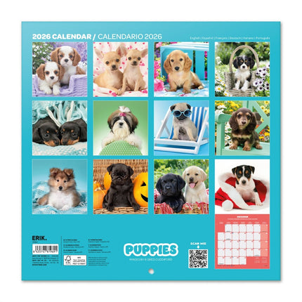 Grupo Puppies Kalender 2026