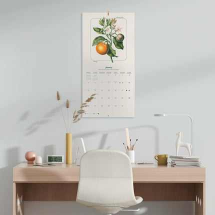 Grupo Vintage Fruit Kalender 2026