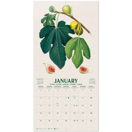 Grupo Vintage Fruit Kalender 2027