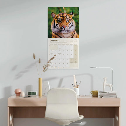 Grupo Wildlife Kalender 2027