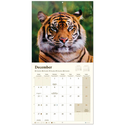 Grupo Wildlife Kalender 2027