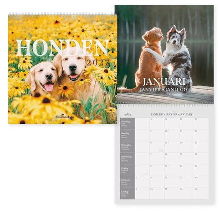 Hallmark Dogs Kalender 2027