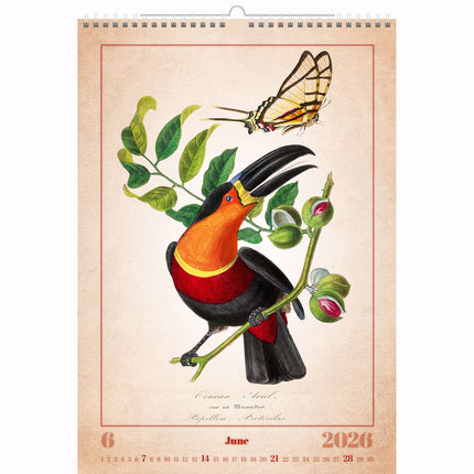 Helma Aviarium Kalender 2026