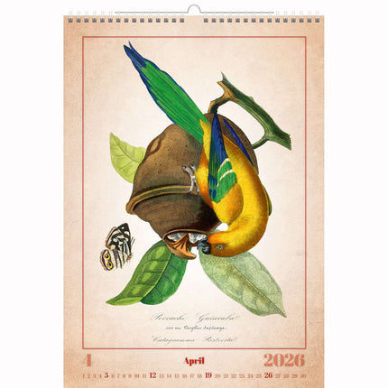 Helma Aviarium Kalender 2026