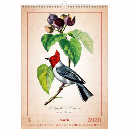 Helma Aviarium Kalender 2026