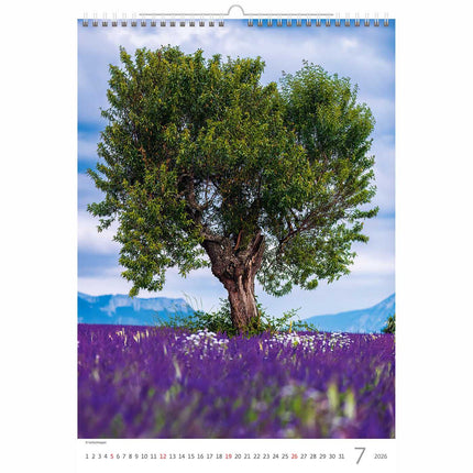 Helma Bomen Kalender 2026