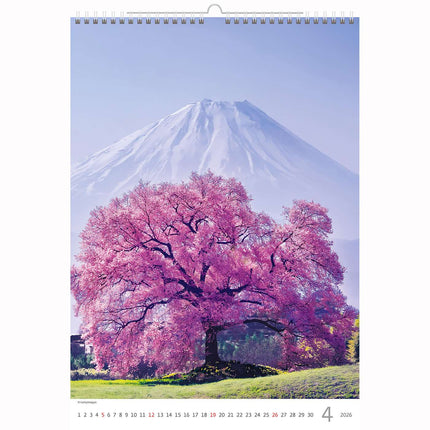 Helma Bomen Kalender 2026