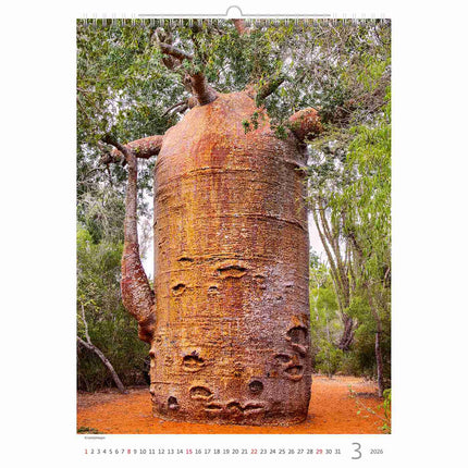 Helma Bomen Kalender 2026