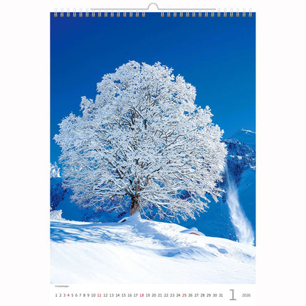 Helma Bomen Kalender 2026