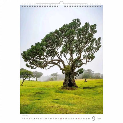 Helma Bomen Kalender 2027