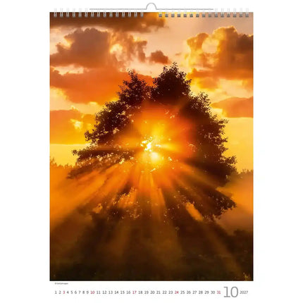 Helma Bomen Kalender 2027