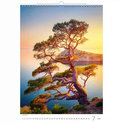 Helma Bomen Kalender 2027