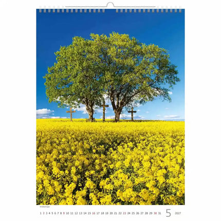 Helma Bomen Kalender 2027