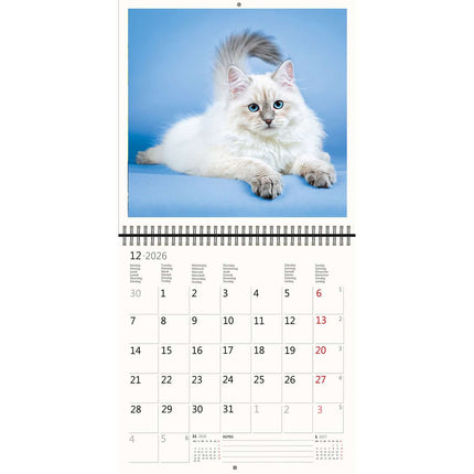 Helma Katten Kalender 2026