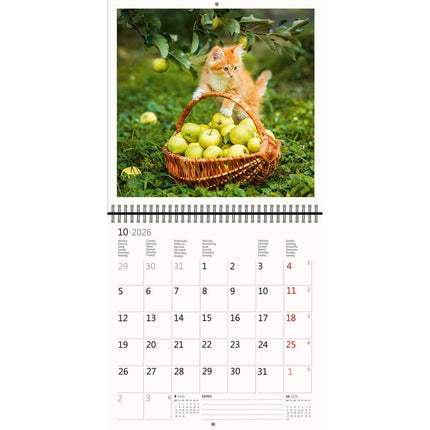 Helma Katten Kalender 2026