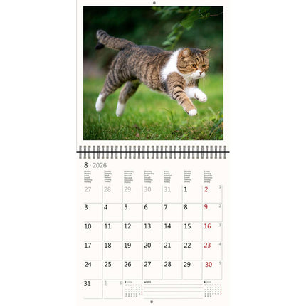 Helma Katten Kalender 2026