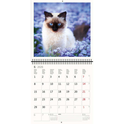 Helma Katten Kalender 2026