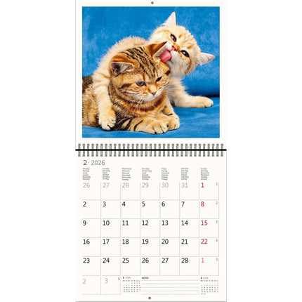 Helma Katten Kalender 2026