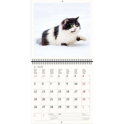 Helma Katten Kalender 2026