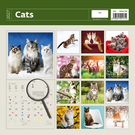Helma Katten Kalender 2027