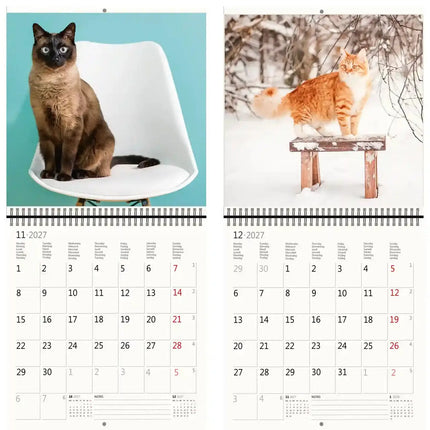 Helma Katten Kalender 2027