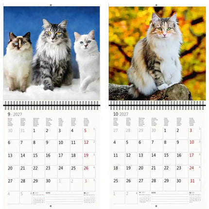 Helma Katten Kalender 2027