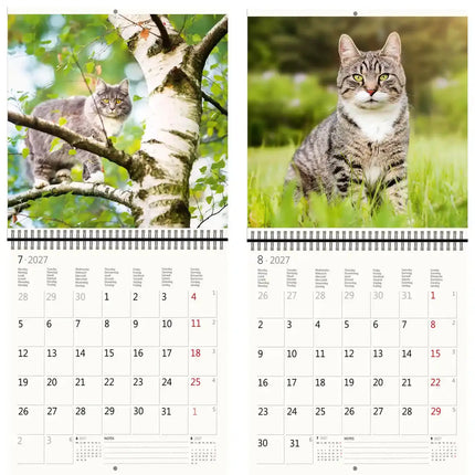 Helma Katten Kalender 2027