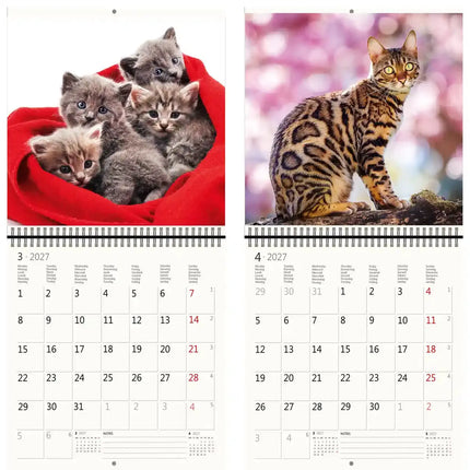 Helma Katten Kalender 2027