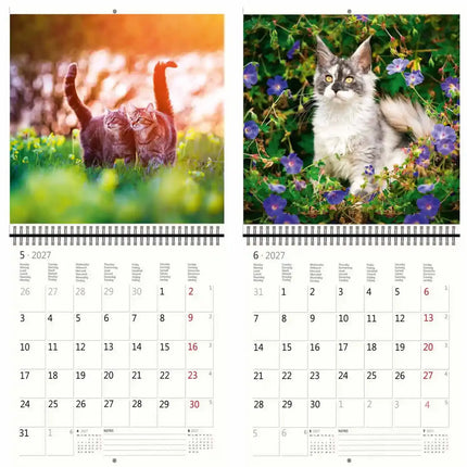 Helma Katten Kalender 2027