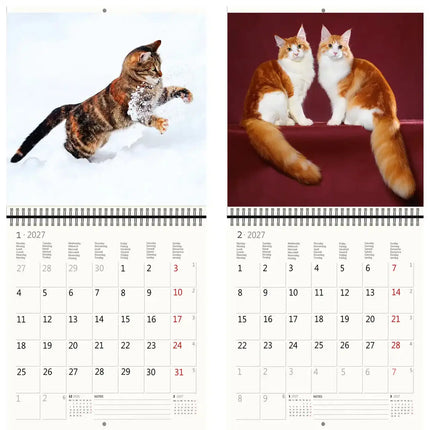 Helma Katten Kalender 2027