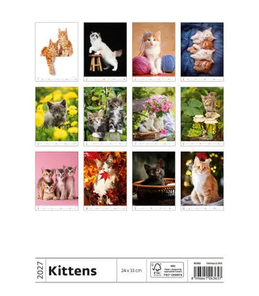 Helma Kittens Kalender 2027