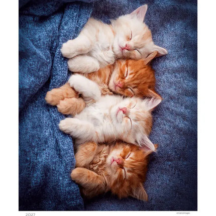 Helma Kittens Kalender 2027