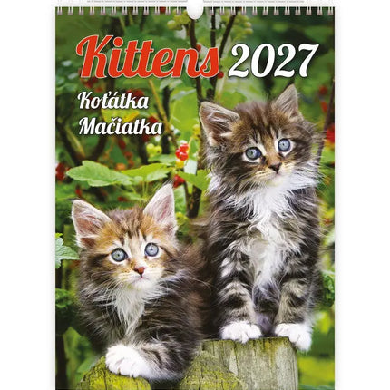 Helma Kittens Kalender 2027