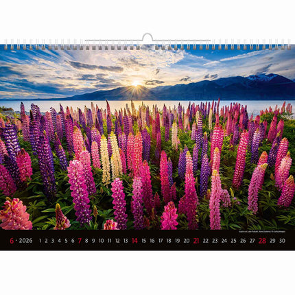 Helma Landschappen Kalender 2026