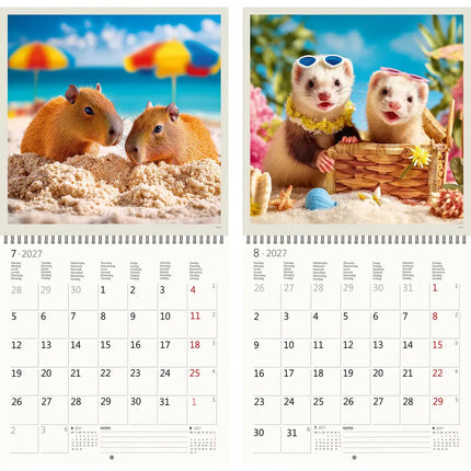 Helma Little Fun Kalender 2027