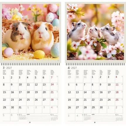 Helma Little Fun Kalender 2027