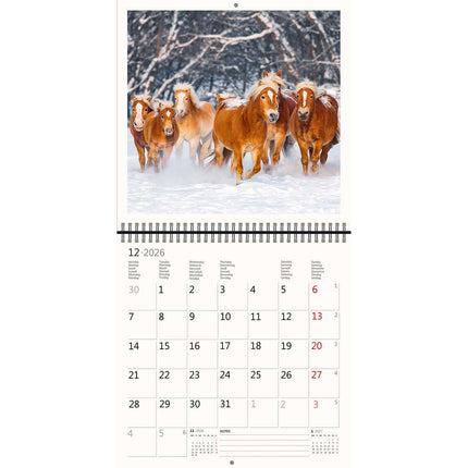 Helma Paarden Kalender 2026