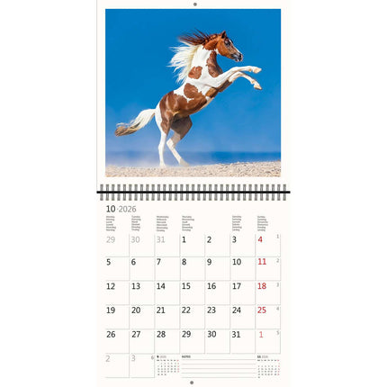 Helma Paarden Kalender 2026