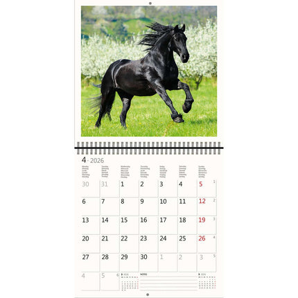 Helma Paarden Kalender 2026