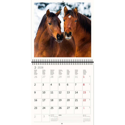 Helma Paarden Kalender 2026