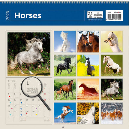 Helma Paarden Kalender 2026