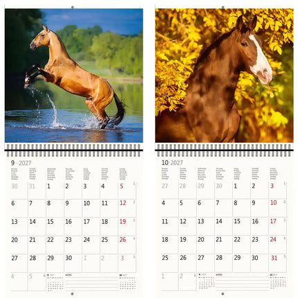 Helma Paarden Kalender 2027