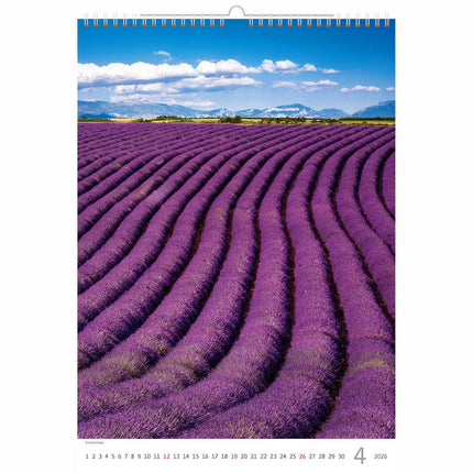 Helma Provence Kalender 2026