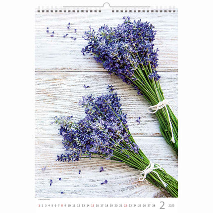 Helma Provence Kalender 2026