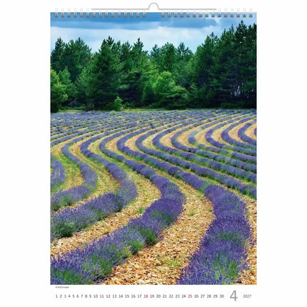 Helma Provence Kalender 2027